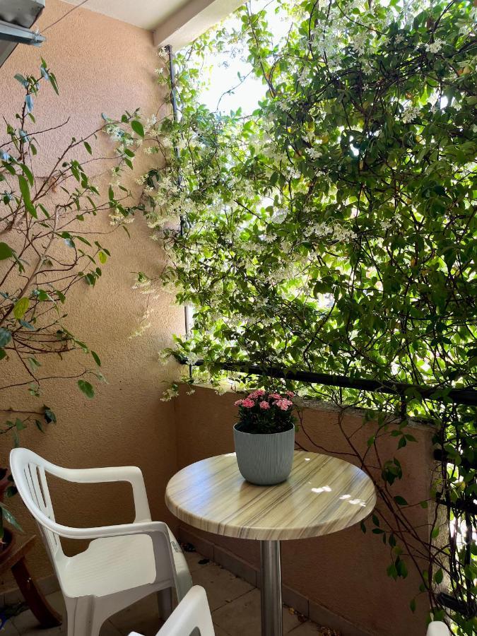 Apartmani Goran I Jelena Zec Budva Extérieur photo